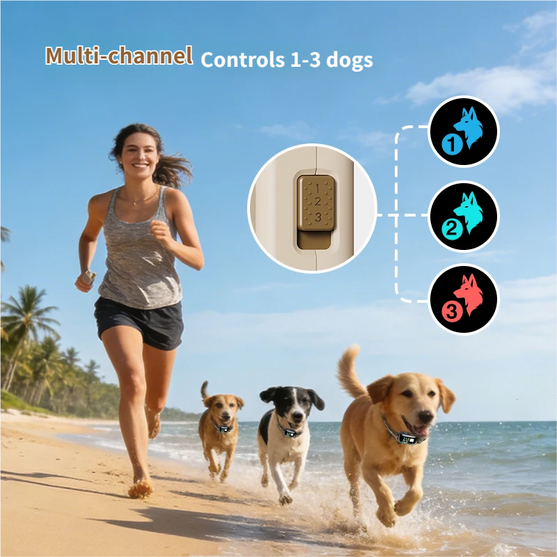 Starpawss PD-509 2-in-1 Dog Training Collar with Remote & LED Flashlight | 300-1000m Range