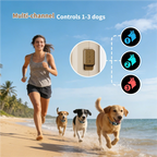 Starpawss PD-509 2-in-1 Dog Training Collar with Remote & LED Flashlight | 300-1000m Range