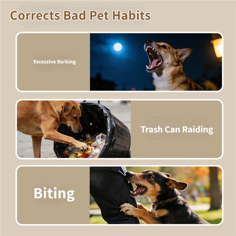 Starpawss PD-509 2-in-1 Dog Training Collar with Remote & LED Flashlight | 300-1000m Range