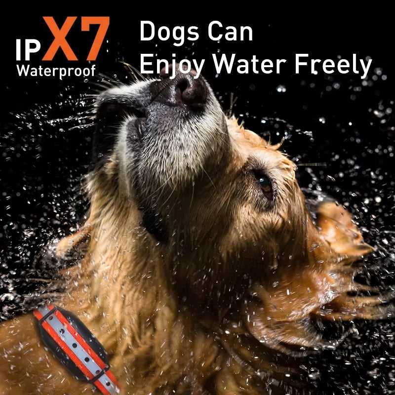 Starpawss PD-518 1000M Remote Dog Training Collar with Beep Vibration Static Shock | IP67 Waterproof Rechargeable E-Collar for Large Dogs