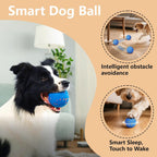 Interactive Dog Toys Smart Dog Ball for Aggressive Chewers Auto Bounce Blue | E-TPU vibrating dog ball, 3 auto modes, motion sensor, Type-C rechargeable, 4h runtime, IP54 waterproof, indoor/outdoor use