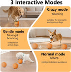 Smart Interactive Dog Ball, Automatic Rolling Bouncing Chew Toy, IP54 Waterproof Rechargeable Dog Toy for Indoor Outdoor Play