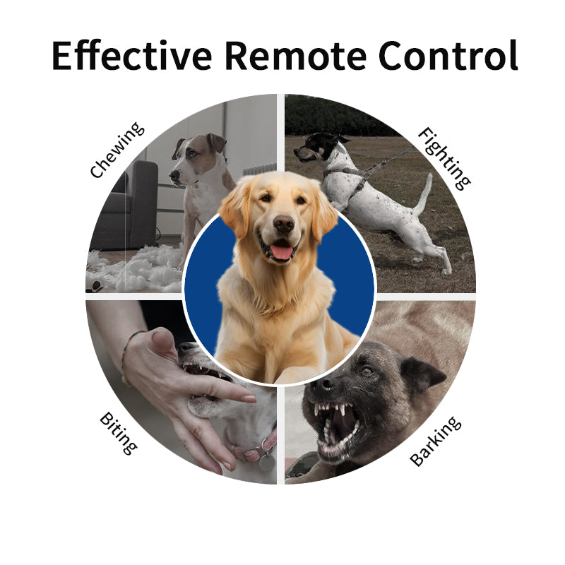 Starpawss P20 Rechargeable Remote Dog Training Collar for All Breeds – Waterproof E-Collar with Long Range Control