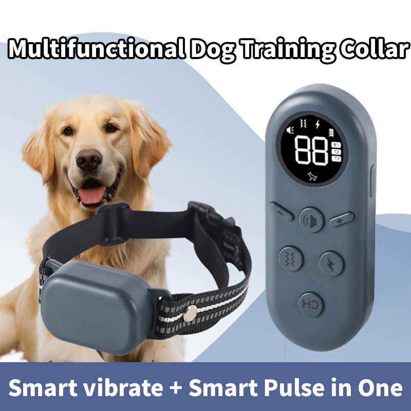 Starpawss P20 Rechargeable Remote Dog Training Collar for All Breeds – Waterproof E-Collar with Long Range Control