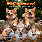 Starpawss P21 Multi-Function Anti-Bark Dog Training Collar with Remote Control, IP67 Waterproof & Rechargeable