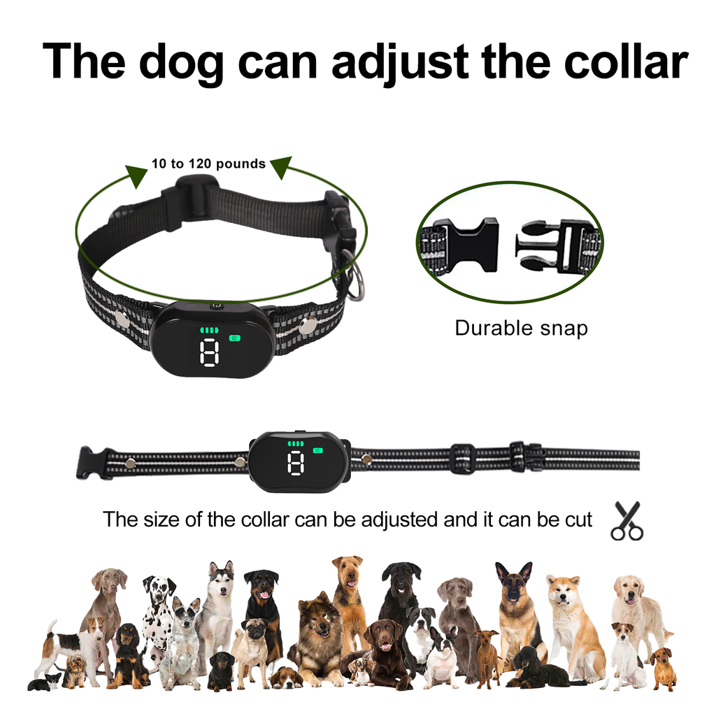Starpawss P24 Dog Training Collar with Remote – Ultrasonic Bark Control & Waterproof Receiver
