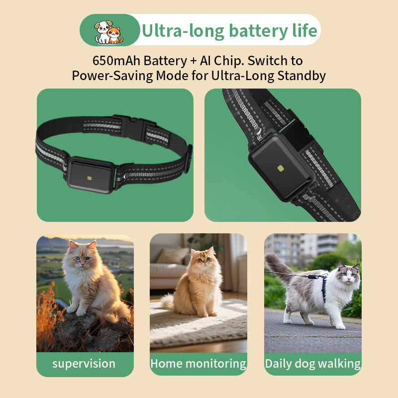 Starpawss P42 Pet GPS Tracker for Cats & Dogs – Real-Time Location & Activity Monitor