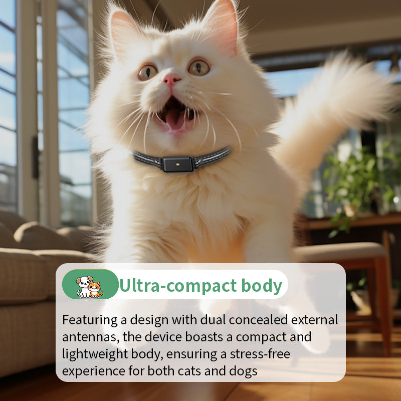 Starpawss P42 Pet GPS Tracker for Cats & Dogs – Real-Time Location & Activity Monitor