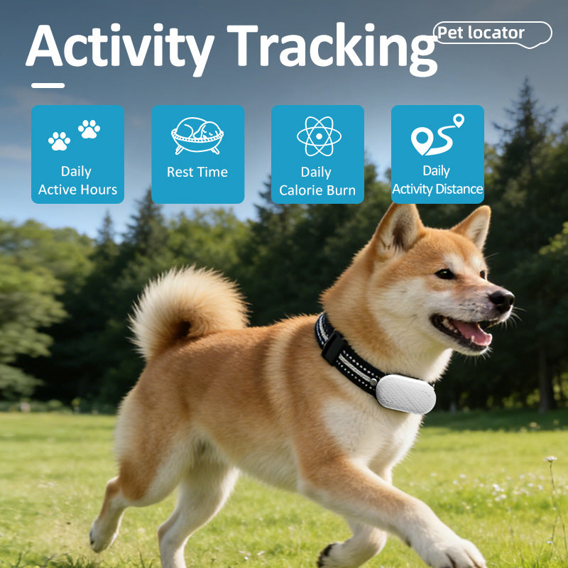 Starpawss P43 Smart GPS Pet Tracker Collar – Real-Time Dog & Cat Location Tracker with Voice Call